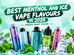 Best Menthol and Ice Vape Flavours in 2026