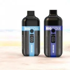 Craving Bar Big Maxx 22K Puffs Prefilled Vape