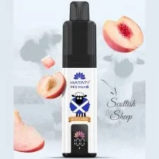 Hayati Pro Max Plus 6K Puffs Souvenir Edition (Scotland) Vape Kit