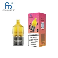 Prefilled Pod for RandM Fumot T9000