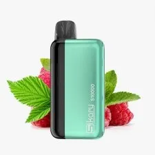Sikary S10000 Puffs Prefilled Pod Kit