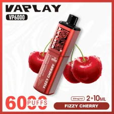 Vaplay VP6000 Puffs Prefilled Vape Kit