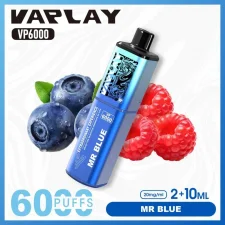 Vaplay VP6000 Puffs Prefilled Vape Kit