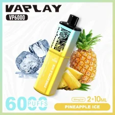 Vaplay VP6000 Puffs Prefilled Vape Kit