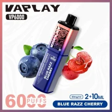 Vaplay VP6000 Puffs Prefilled Vape Kit