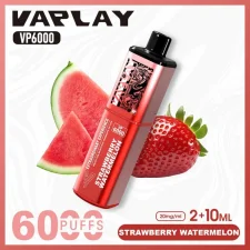 Vaplay VP6000 Puffs Prefilled Vape Kit