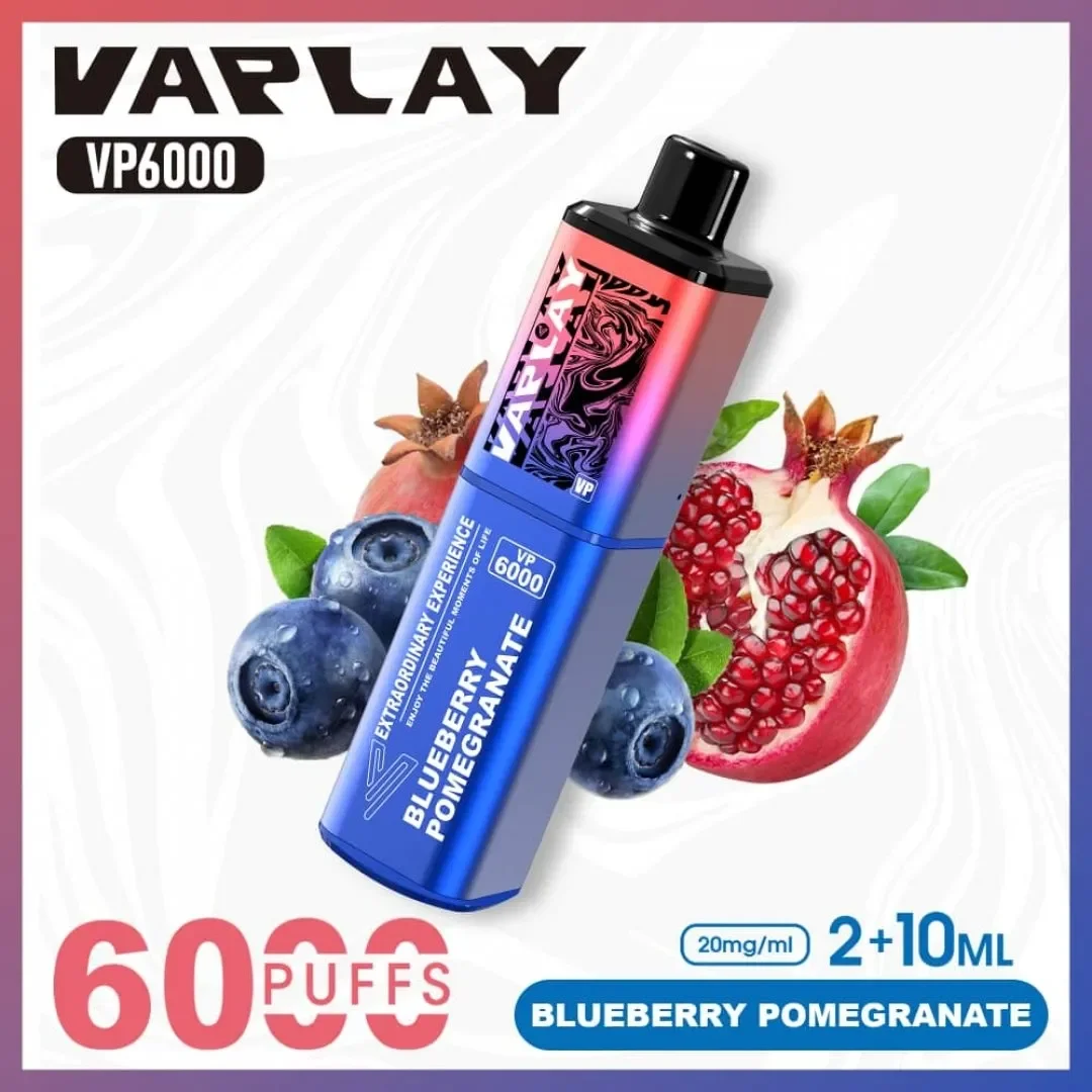 Vaplay VP6000 Puffs Prefilled Vape Kit