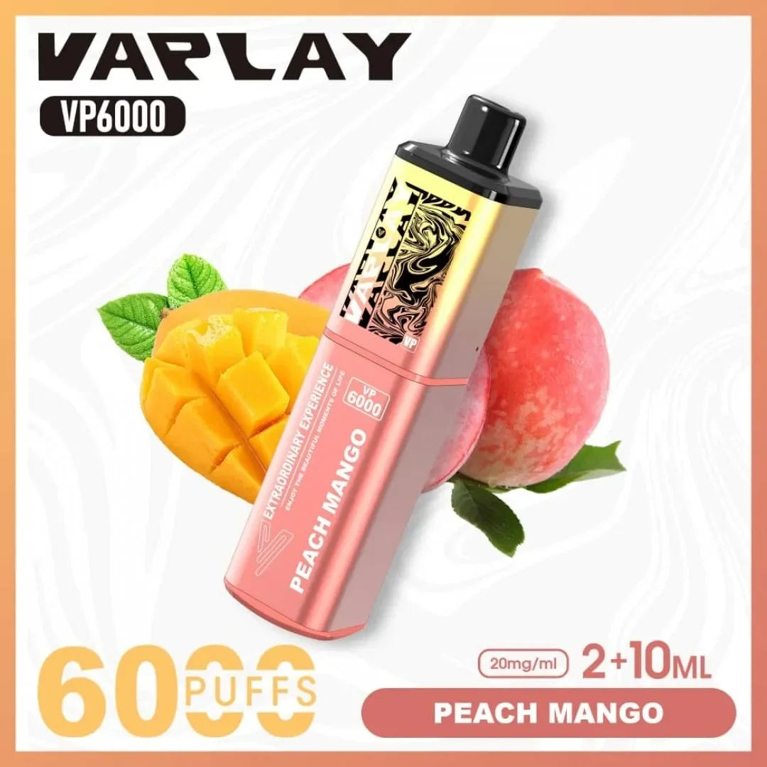 Vaplay VP6000 Puffs Prefilled Vape Kit