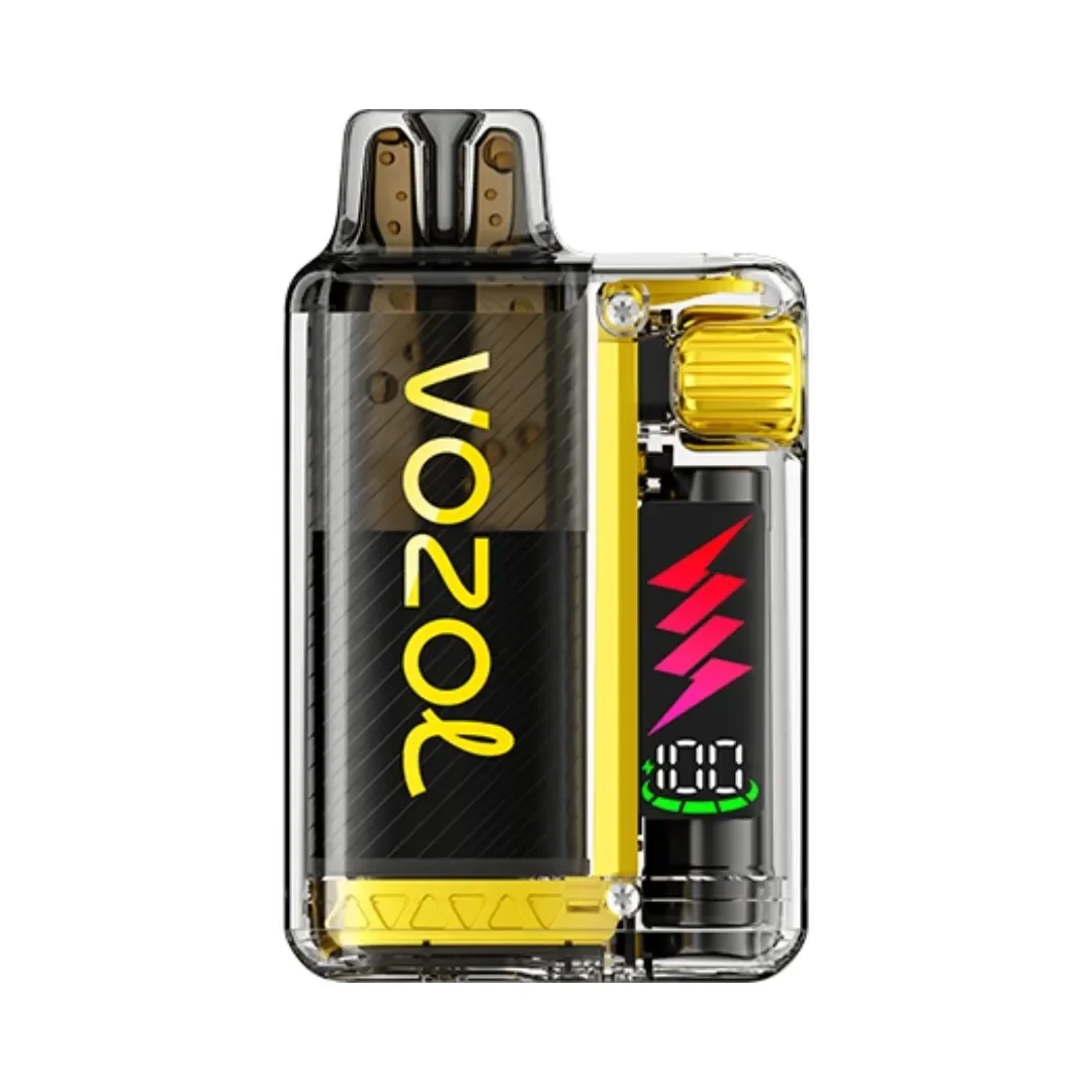 VOZOL VISTA PLUG 10K Puffs Disposable Vape