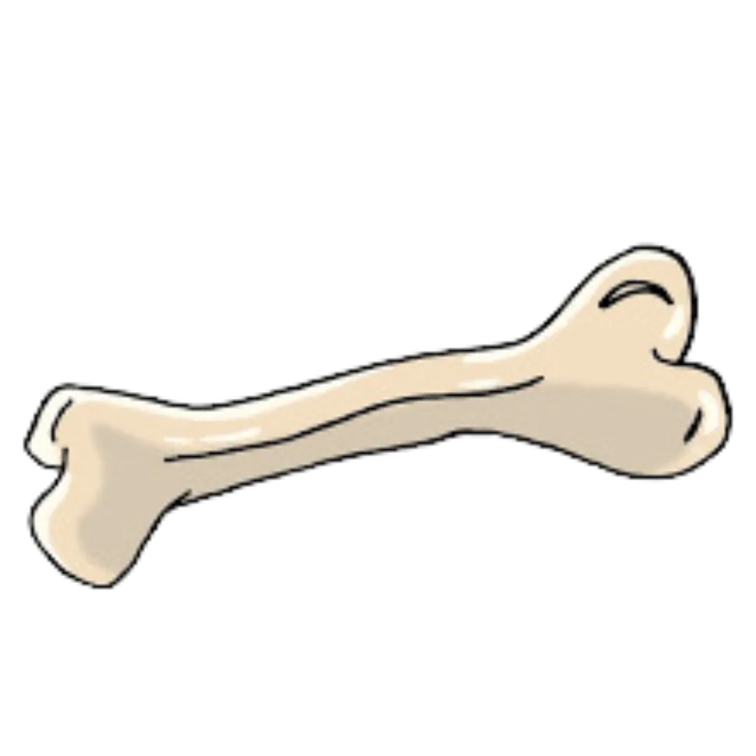 Bones